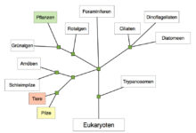 system design interview