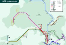 system justification